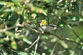 27 03 15_2626_edited-1